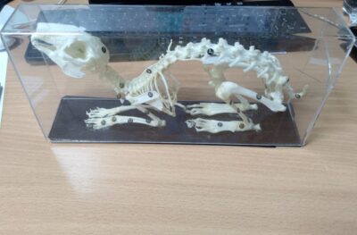 photo_2024-03-27_12-41-18